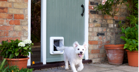 Dog Door Installation