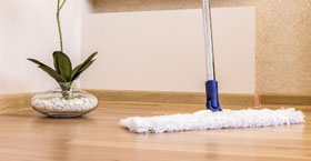 House Cleaning Services