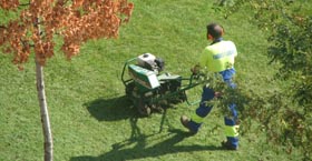 Lawn Aeration