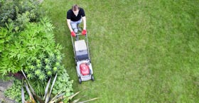 Lawn Care