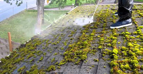 Roof Moss Removal