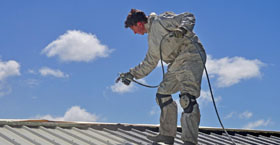 Roof Painting